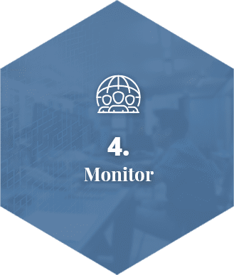 4. Monitor
