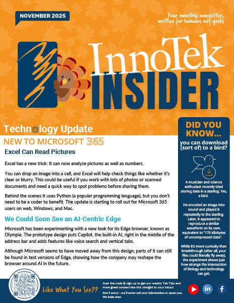 november 2025 newsletter cover
