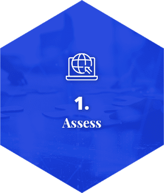 1. Assess