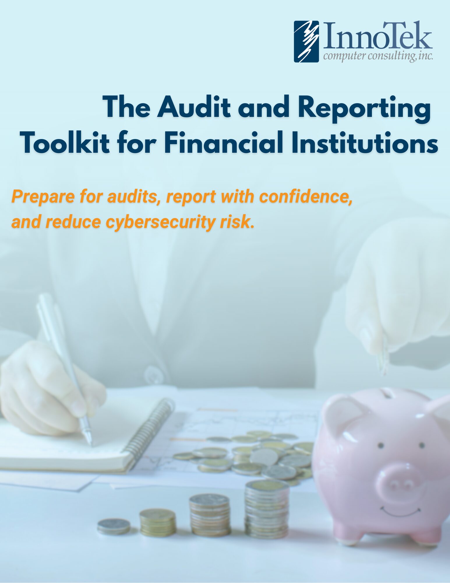 Cover of the Audit & Reporting Toolkit for Financial Institutions free download